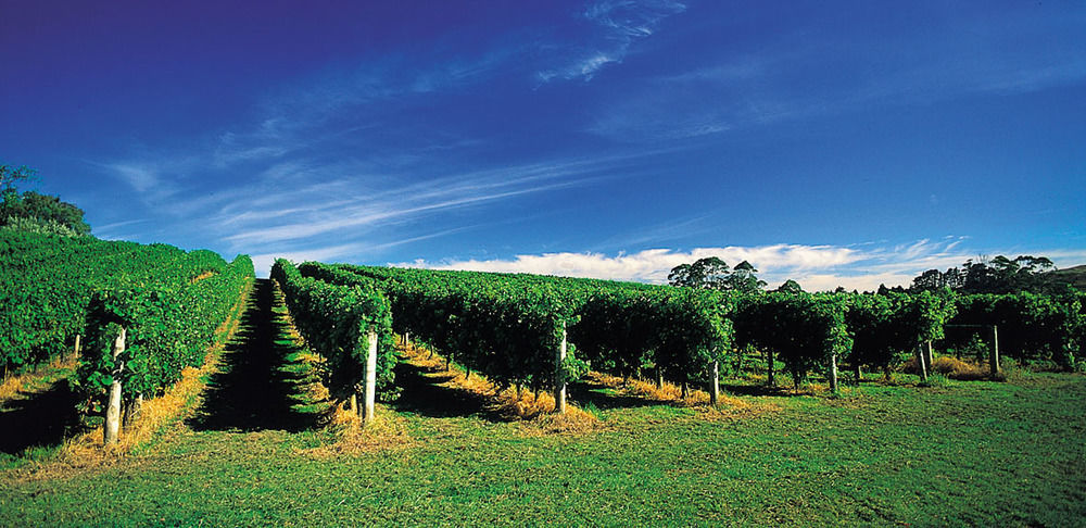 Vineyard Cottages - Kumeu Waimauku Екстериор снимка