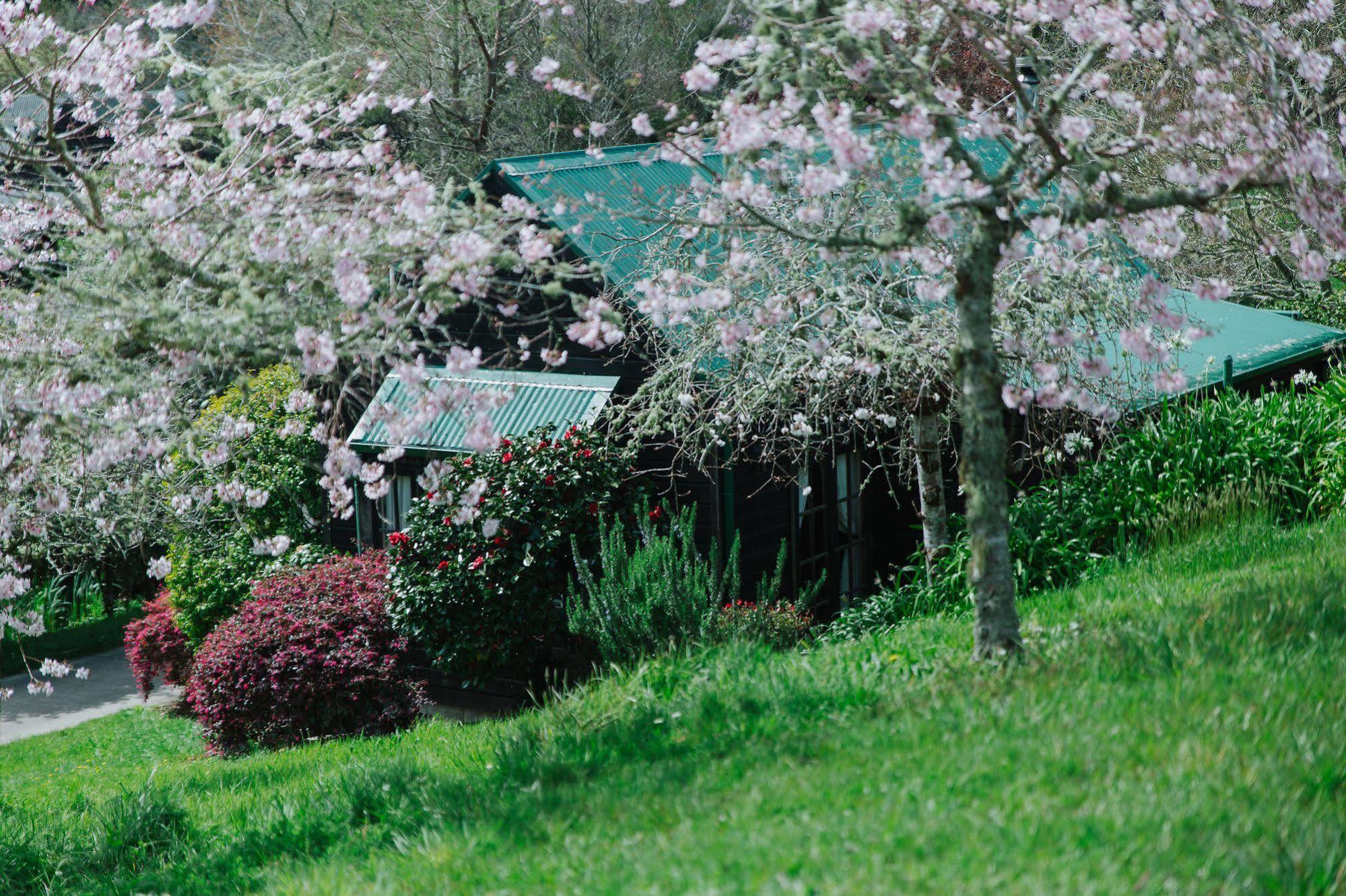 Vineyard Cottages - Kumeu Waimauku Екстериор снимка